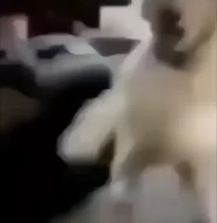 🤣