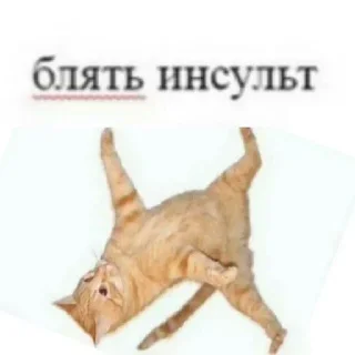 😱