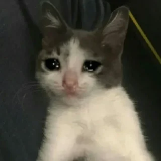 🥺
