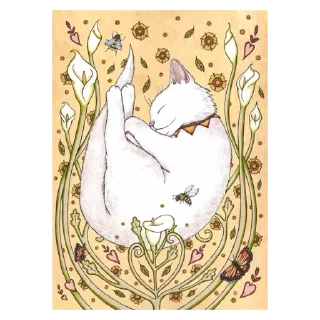 ✨