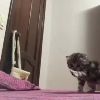 😄