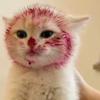 🤡