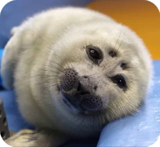 ☺️