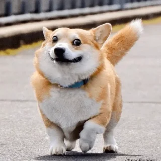😁