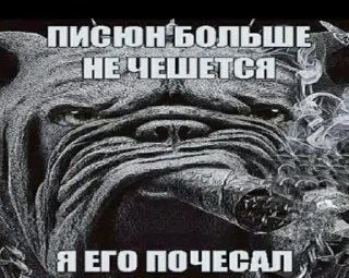 😇