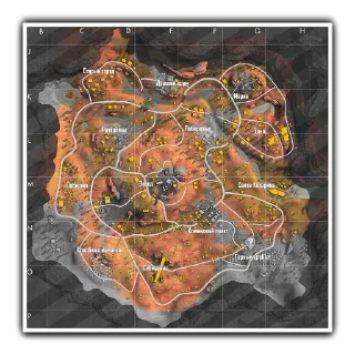 🌎