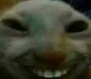 😁