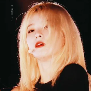 🖇