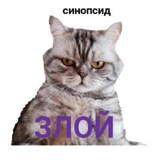 😡