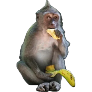 🍌