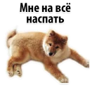😁
