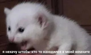 😡