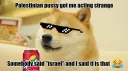 😎