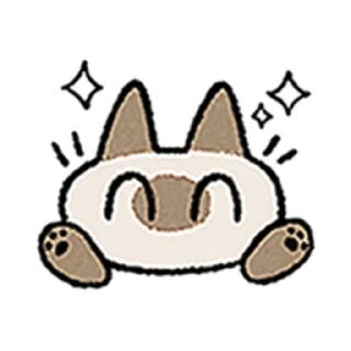 😺