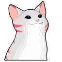 🙀