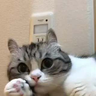 😧