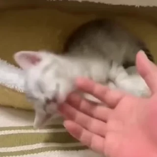 😴