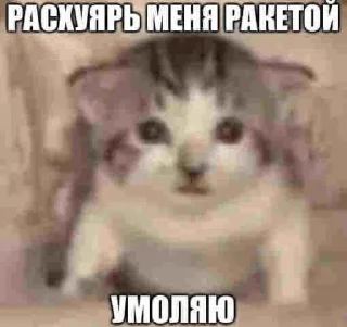 🥺