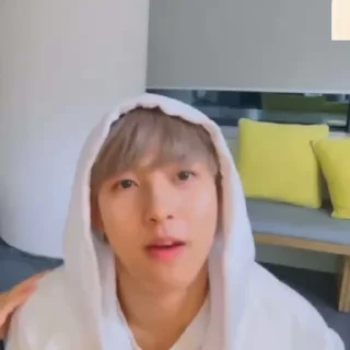 🦊