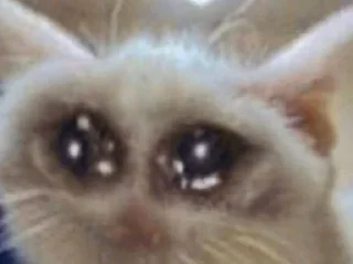 🥺