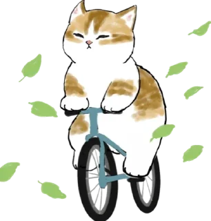 🍃