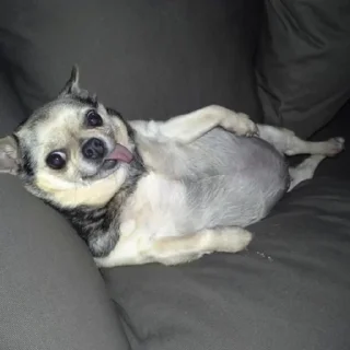 😋