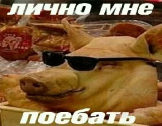 🤙