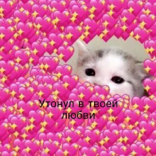💖