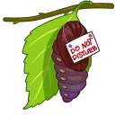 Caterpilly @stickersb2b