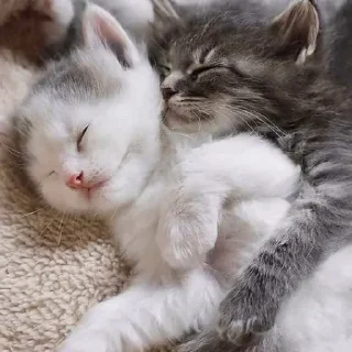 🥰