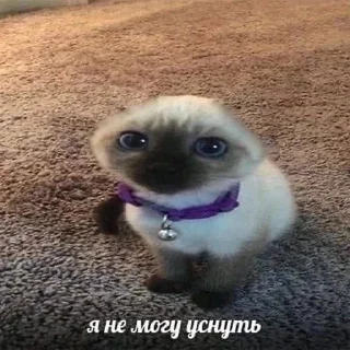 🥺