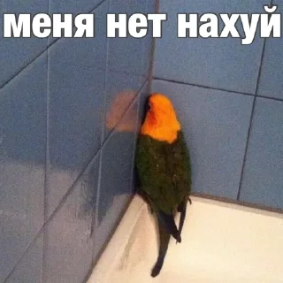 🙄