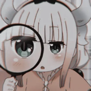 🐰