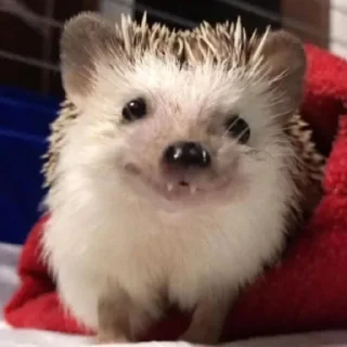 😁