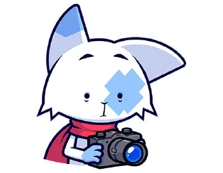 🐱