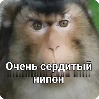😾