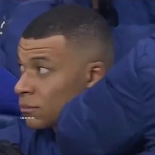 🐢