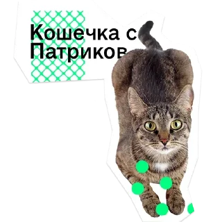 😧