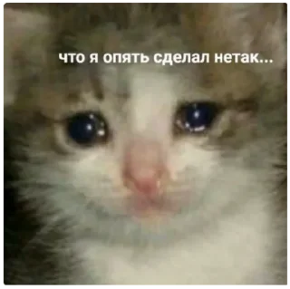 😭