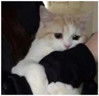 😔