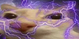 ⚡