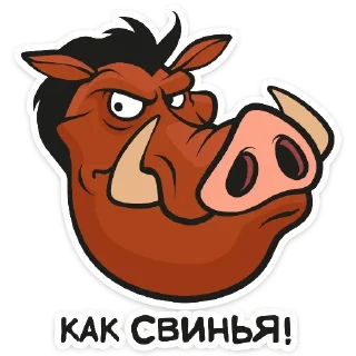 🐷