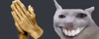 👏