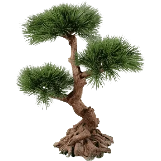 🌳