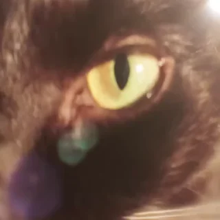 😒