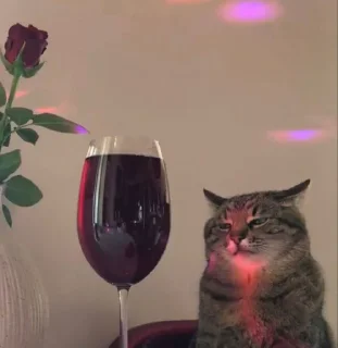🍷