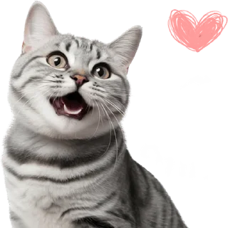 😍