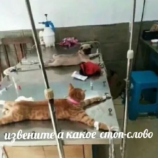 😱