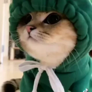 🐸