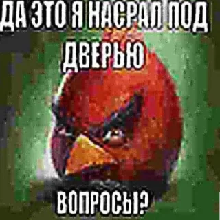 😎